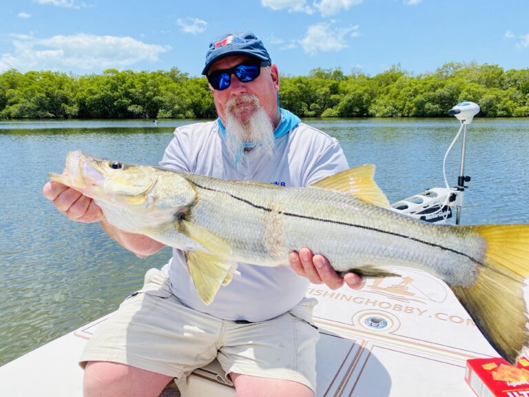 Man Wearing Blue Shades