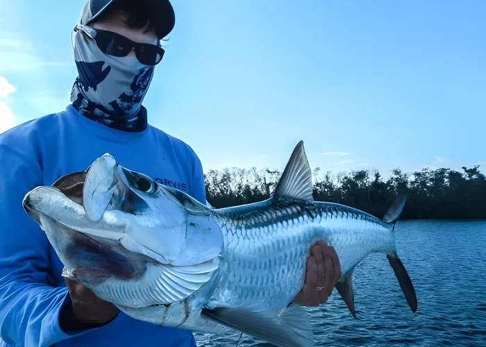Tarpon fly fishing Fort Myers