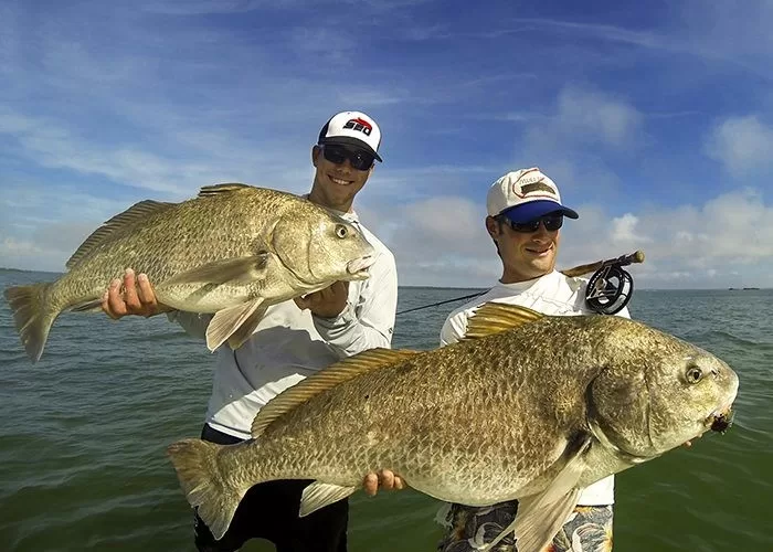 Tarpon fly fishing Fort Myers