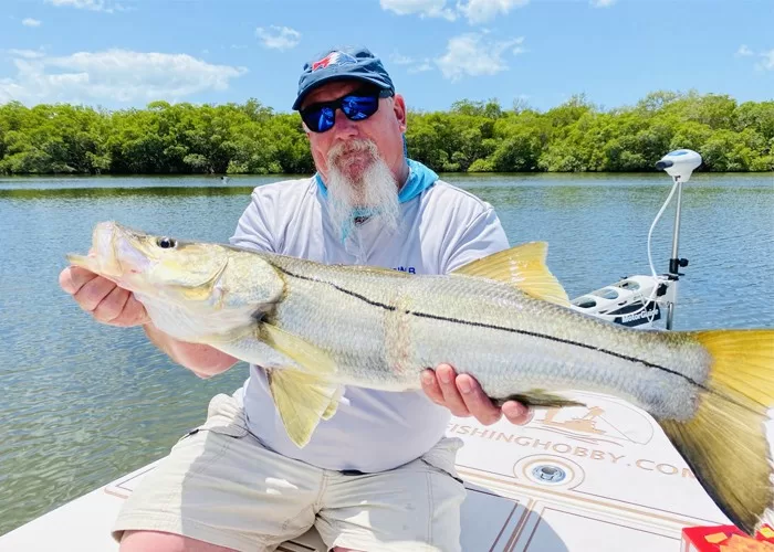Snook fly fishing Fort Myers